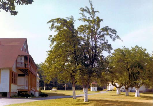 [Dining Hall, Wishing Well, Front Lawn]